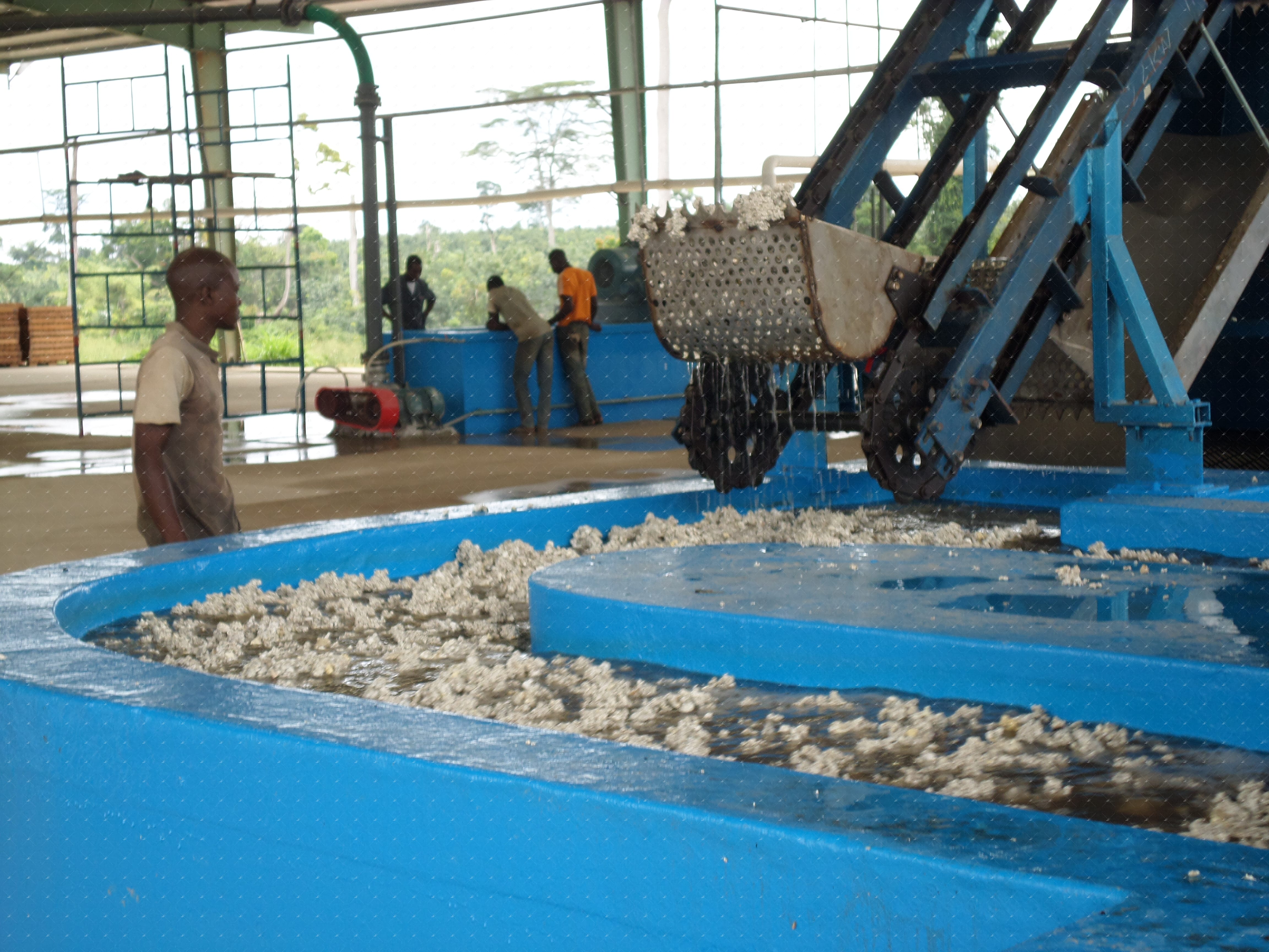 Cote d'Ivoire 16,800-Ton TSR20 Natural Rubber Line